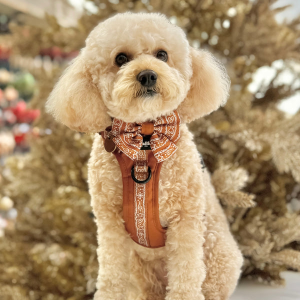 Hike & Go™ Harness - Gingerbread Frosting