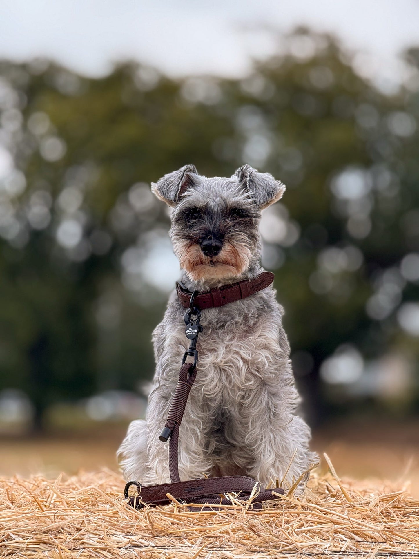 Heritage Faux Leather Rope Dog Lead - Brown