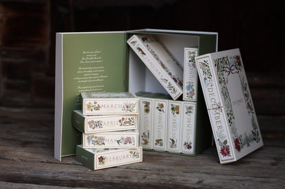 The aDoraBle Pooch Co Advent Calendar - The Four Seasons