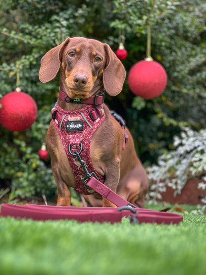 Hike & Go Lite™ Harness - Winter Fawn