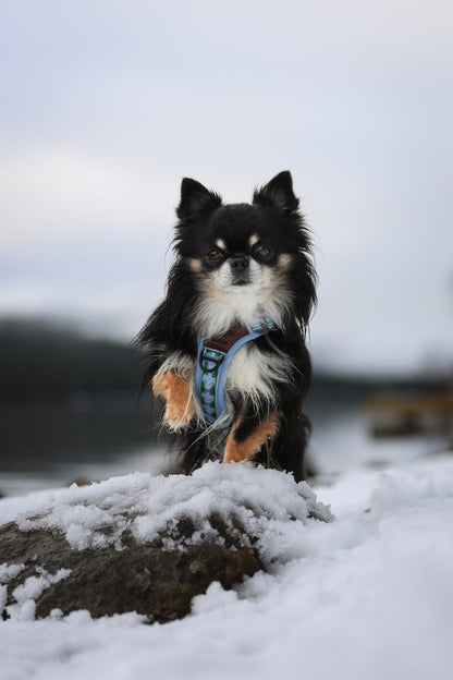 Streamline Pro™ Dog Harness - Daydream Heights