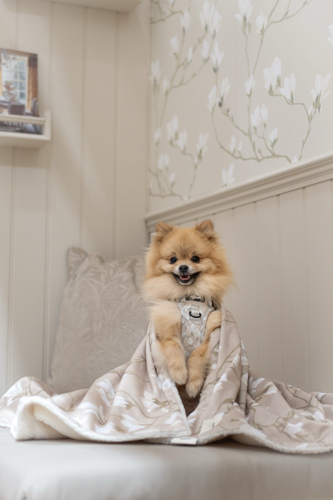 Laura Ashley Dog & Puppy Bed Blanket - Magnolia Grove