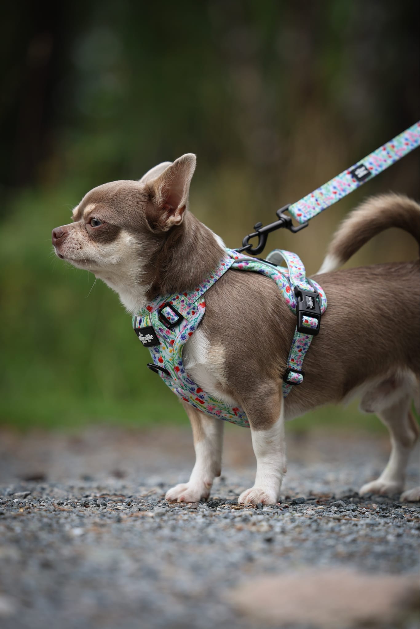 Hike & Go Lite™ Harness - Wildflower Meadow