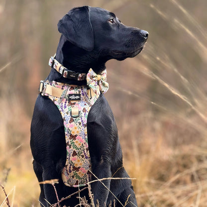 Hike & Go Lite™ Harness - Bumbles & Butterflies