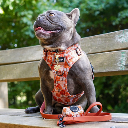 HydroFlex™ Two-tone Waterproof Dog Lead - Burnt Orange