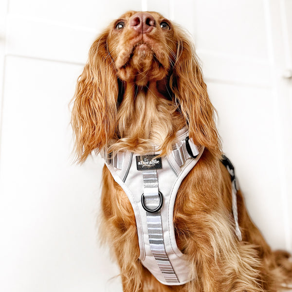 Hike & Go™ Harness - Coconut Cream