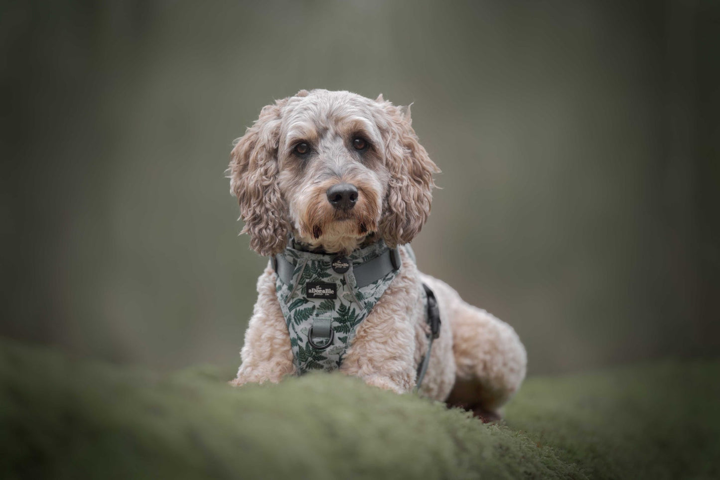 Hike & Go Lite™ Harness - Forest Of Ferns