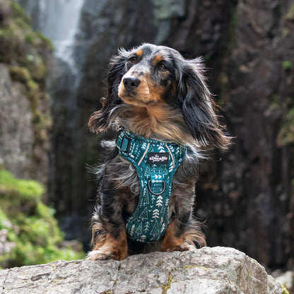 Hike & Go™ Harness - Woodland Walks