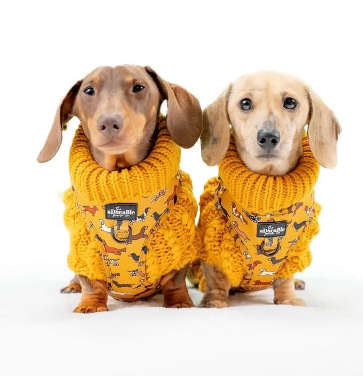 Hand Knitted Dachshund Jumper - Mustard Yellow