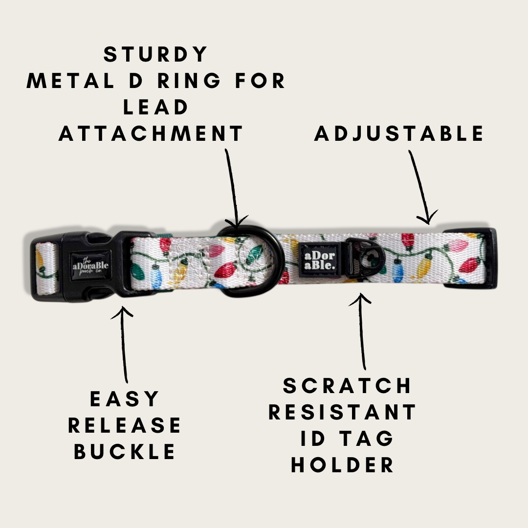 Collar - Festive Lights