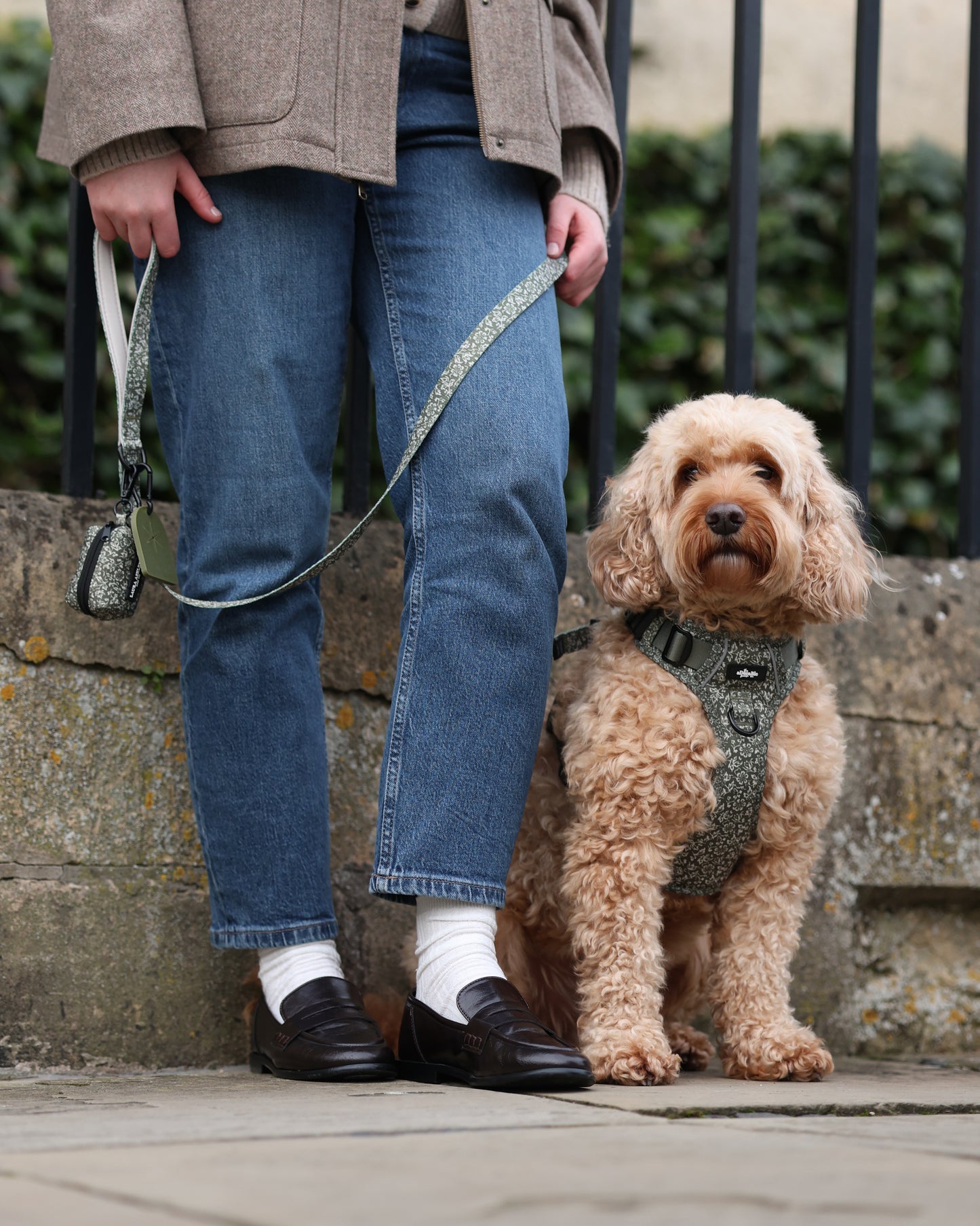 Laura Ashley Dog Harness - Sweet Alyssum