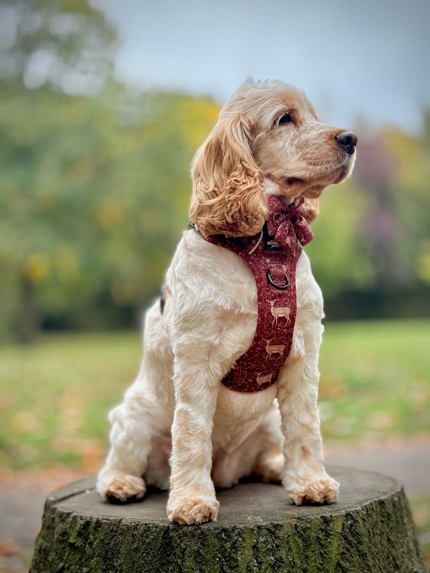 Hike & Go Lite™ Harness - Winter Fawn