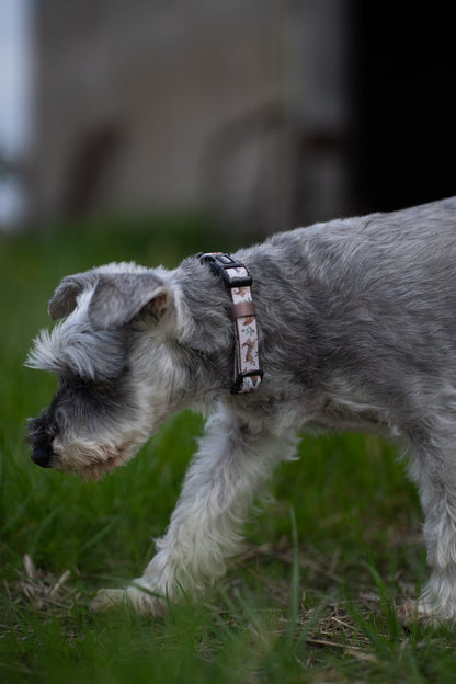 Dog Collar - Cotswold Cottage