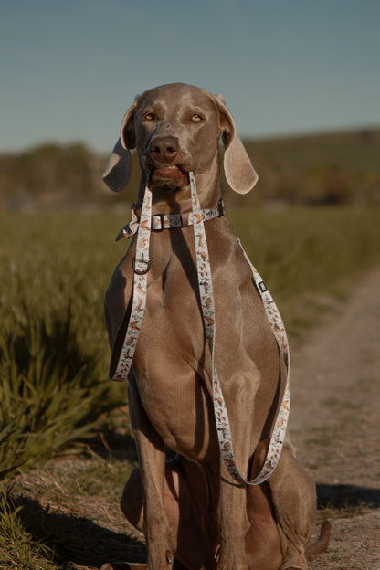 Fabric Dog Lead - Cotswold Cottage