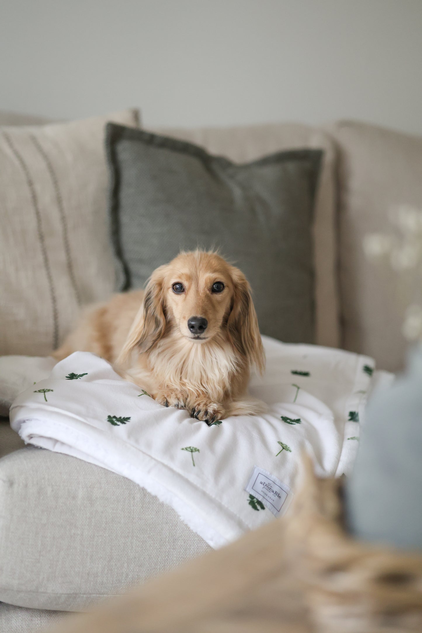 Supersize Soft Blanket - Forest Of Ferns