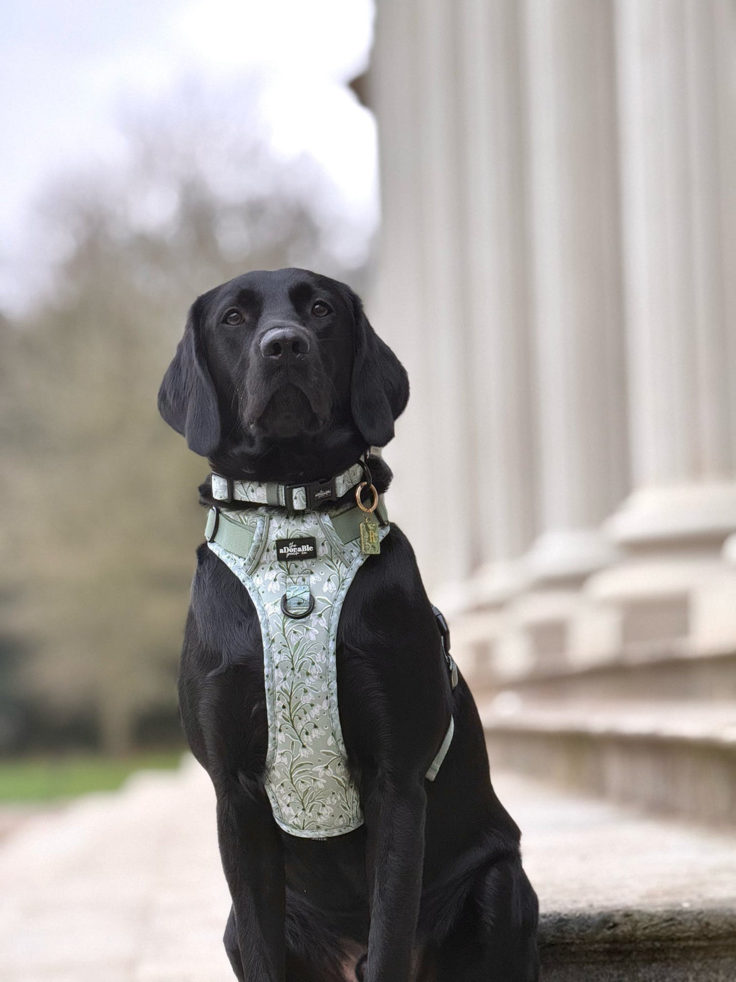 Hike & Go Lite™ Harness - Silent Snowdrops