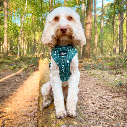 Adjustable Harness - Woodland Walks