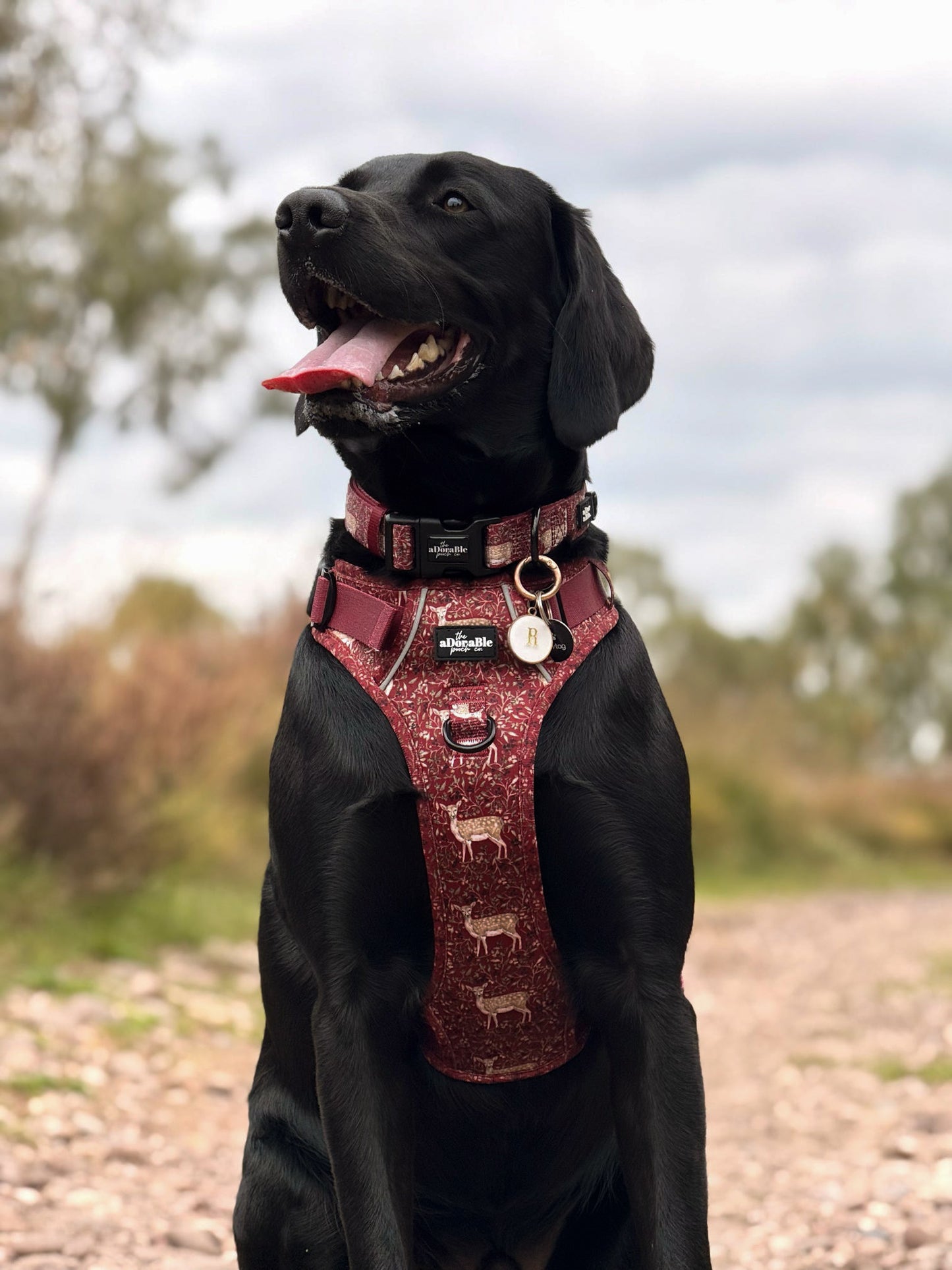Hike & Go Lite™ Harness - Winter Fawn