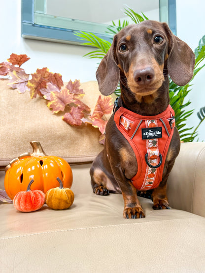 Hike & Go™ Harness - Pumpkin Fields