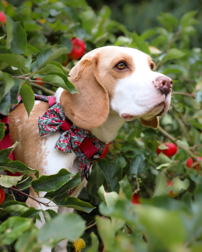 Sailor Bow Tie - Crab Apple Cottage