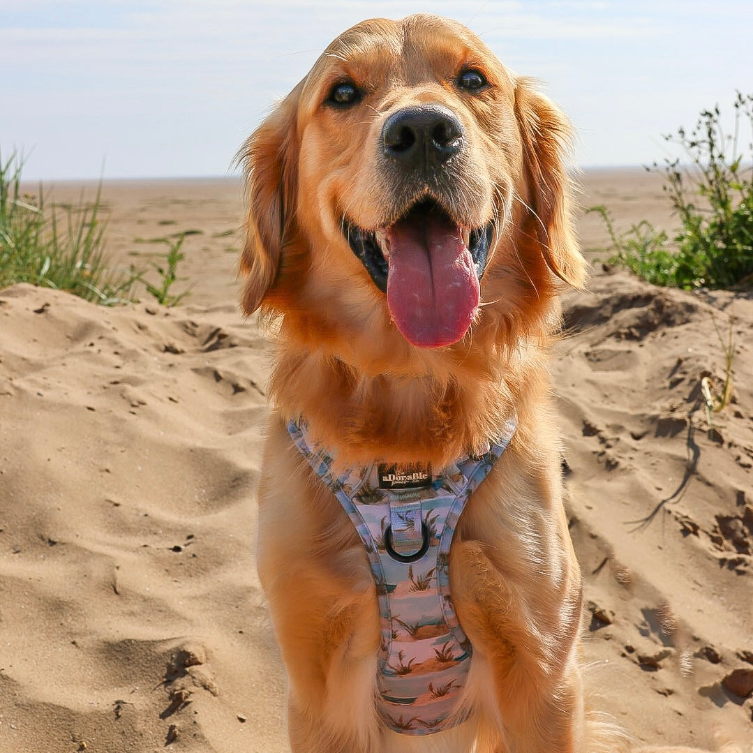 Hike & Go Lite™ Harness - Coastal Beach Grass