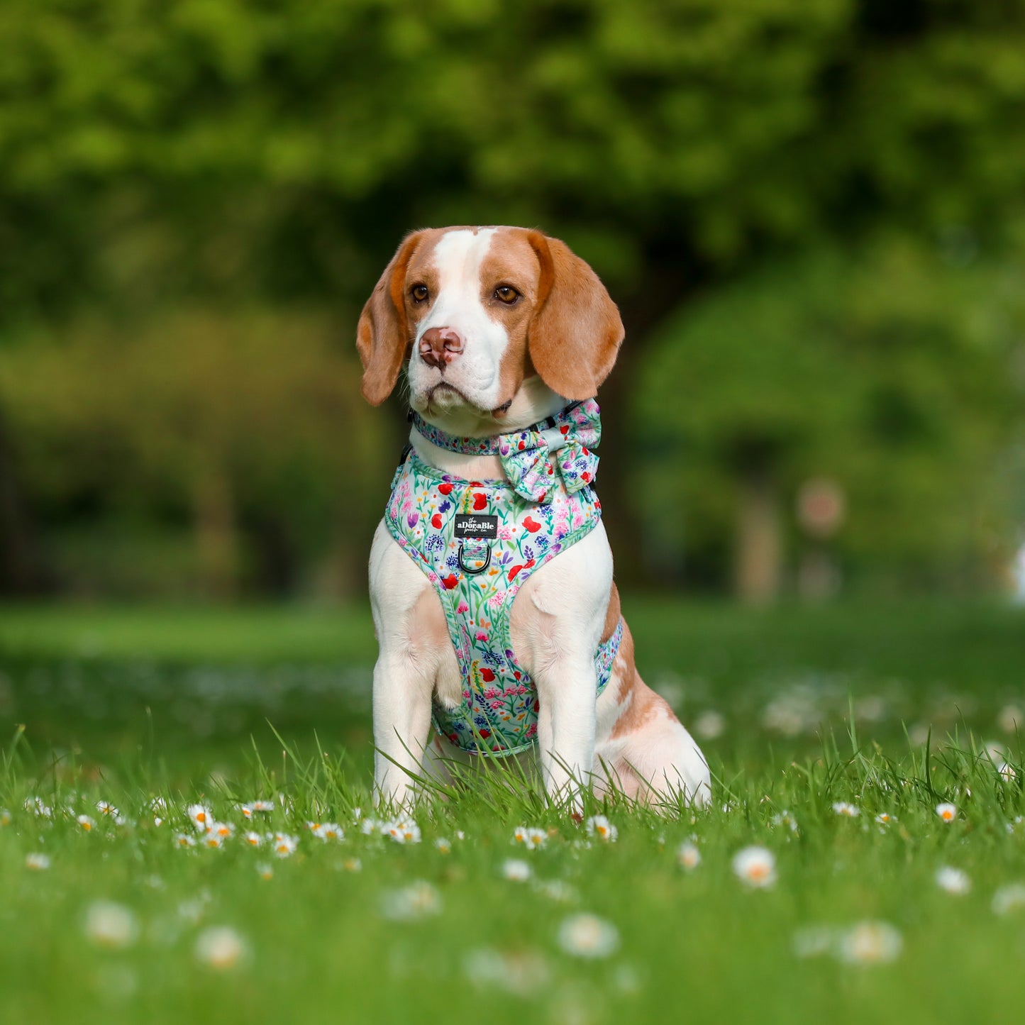 Adjustable Harness - Wildflower Meadow