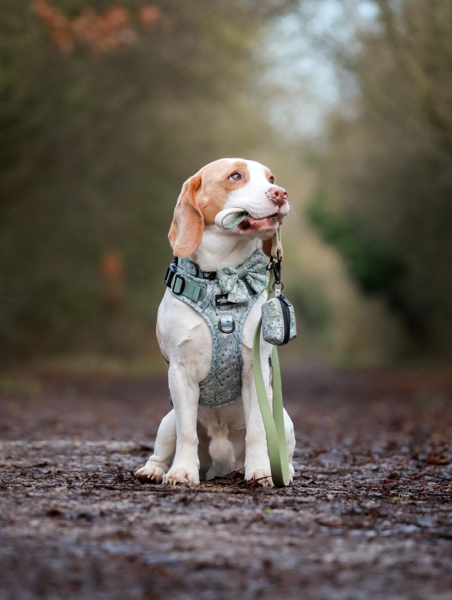 Hike & Go Lite™ Harness - Silent Snowdrops