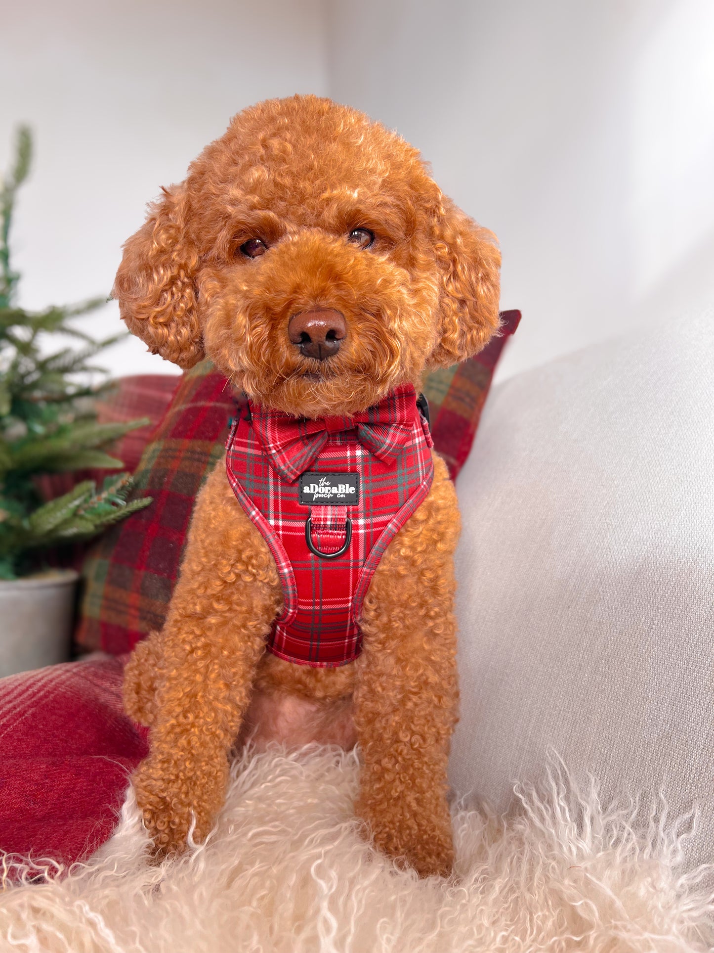 Bow Tie - LUXE Berry Red Plaid