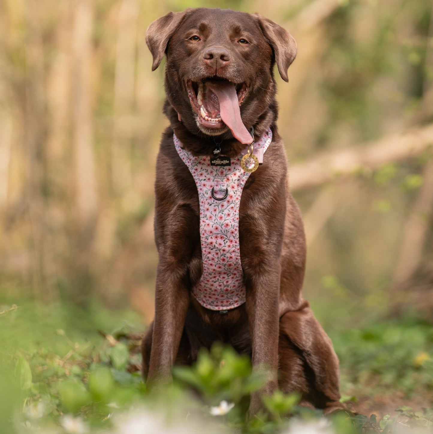 Hike & Go Lite™ Harness - Blushing Blossoms