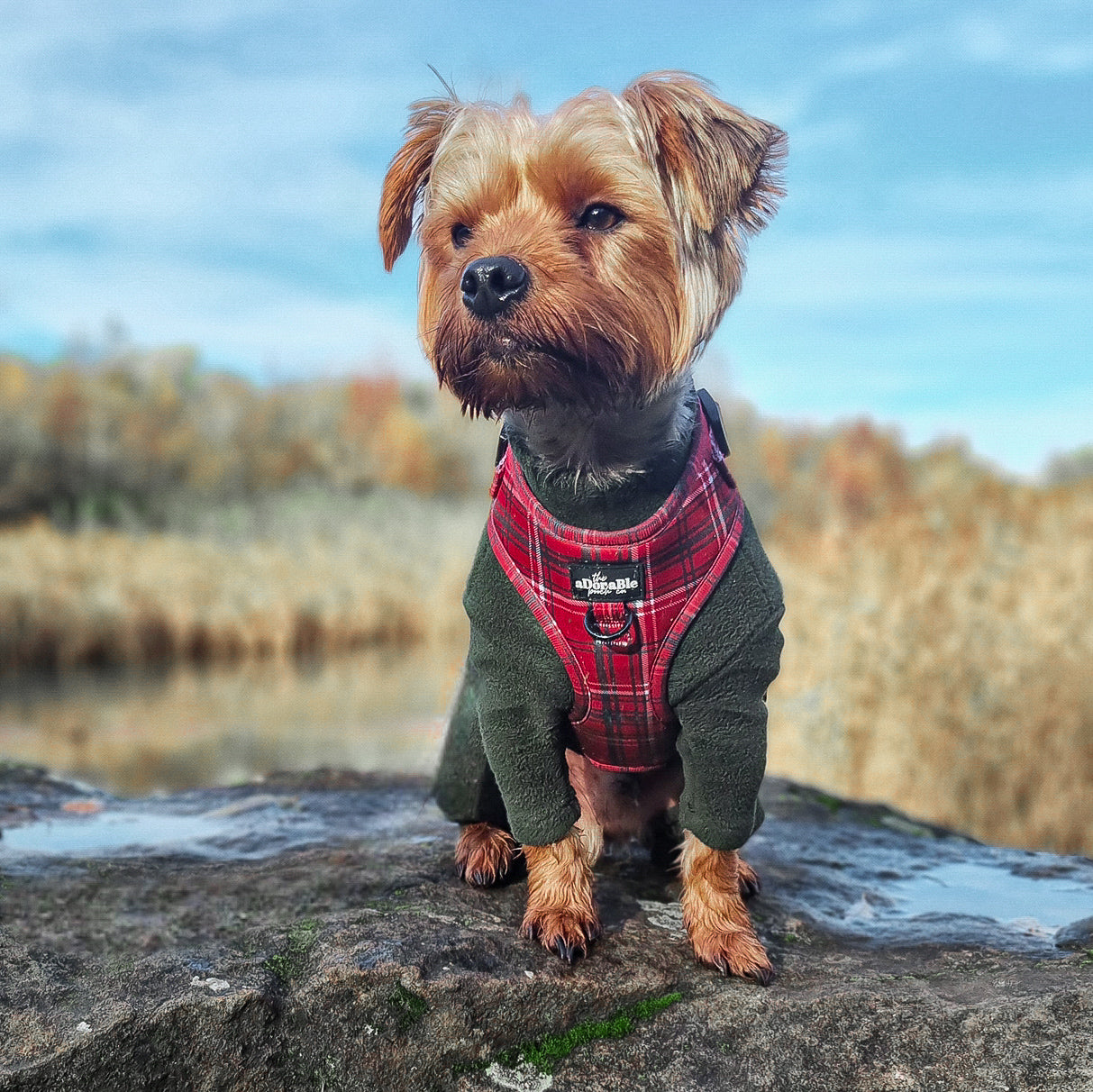 Adjustable Harness - LUXE Berry Red Plaid