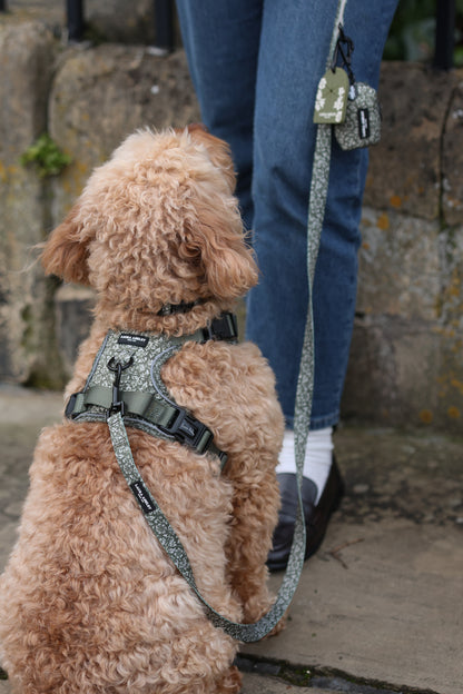Laura Ashley Dog Harness - Sweet Alyssum