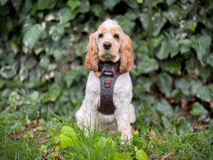 Hike & Go Lite™ Harness - Holly & Ivy