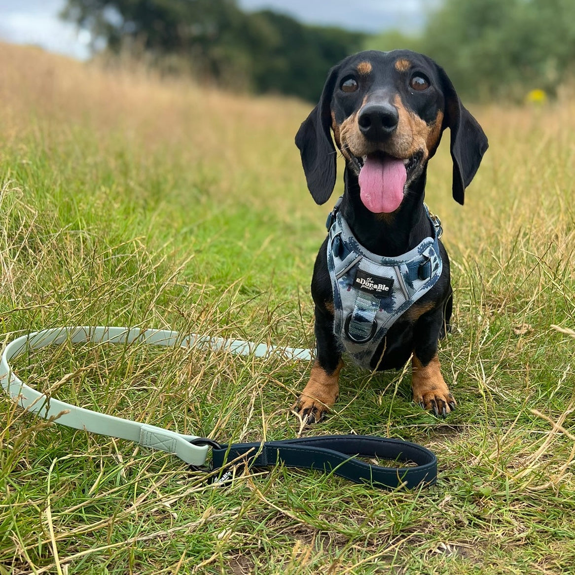 HydroFlex™ Two-tone Waterproof Dog Lead - Navy & Muted Mint