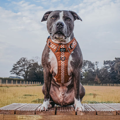 Hike & Go™ Harness - Gingerbread Waffle