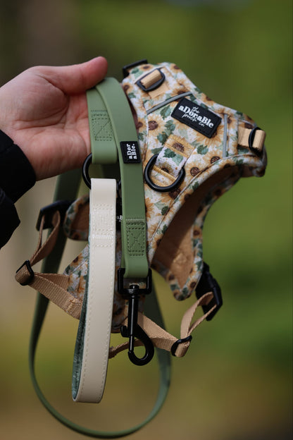 HydroFlex™ Two-tone Waterproof Dog Lead - Sage and Cream