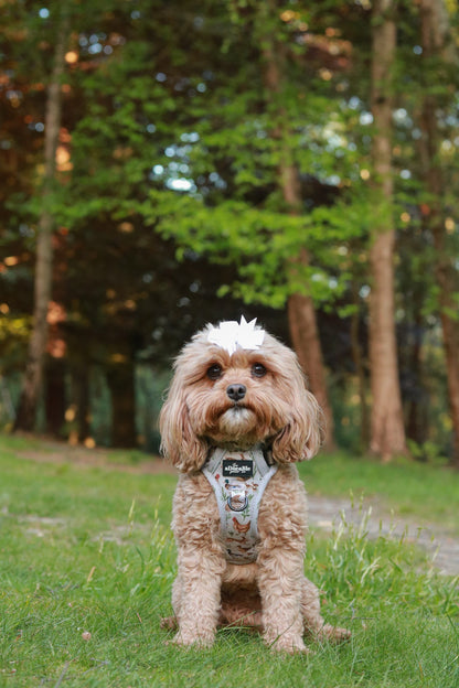 Hike & Go Lite™ Harness - Cotswold Cottage