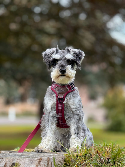 Streamline Pro™ Dog Harness - Heritage Collection - Merlot Manor