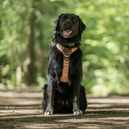 Streamline Pro™ Dog Harness - Heritage Collection - Butterscotch Biscuit