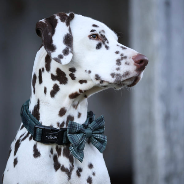 Sailor Bow Tie - LUXE Hunter Green Plaid