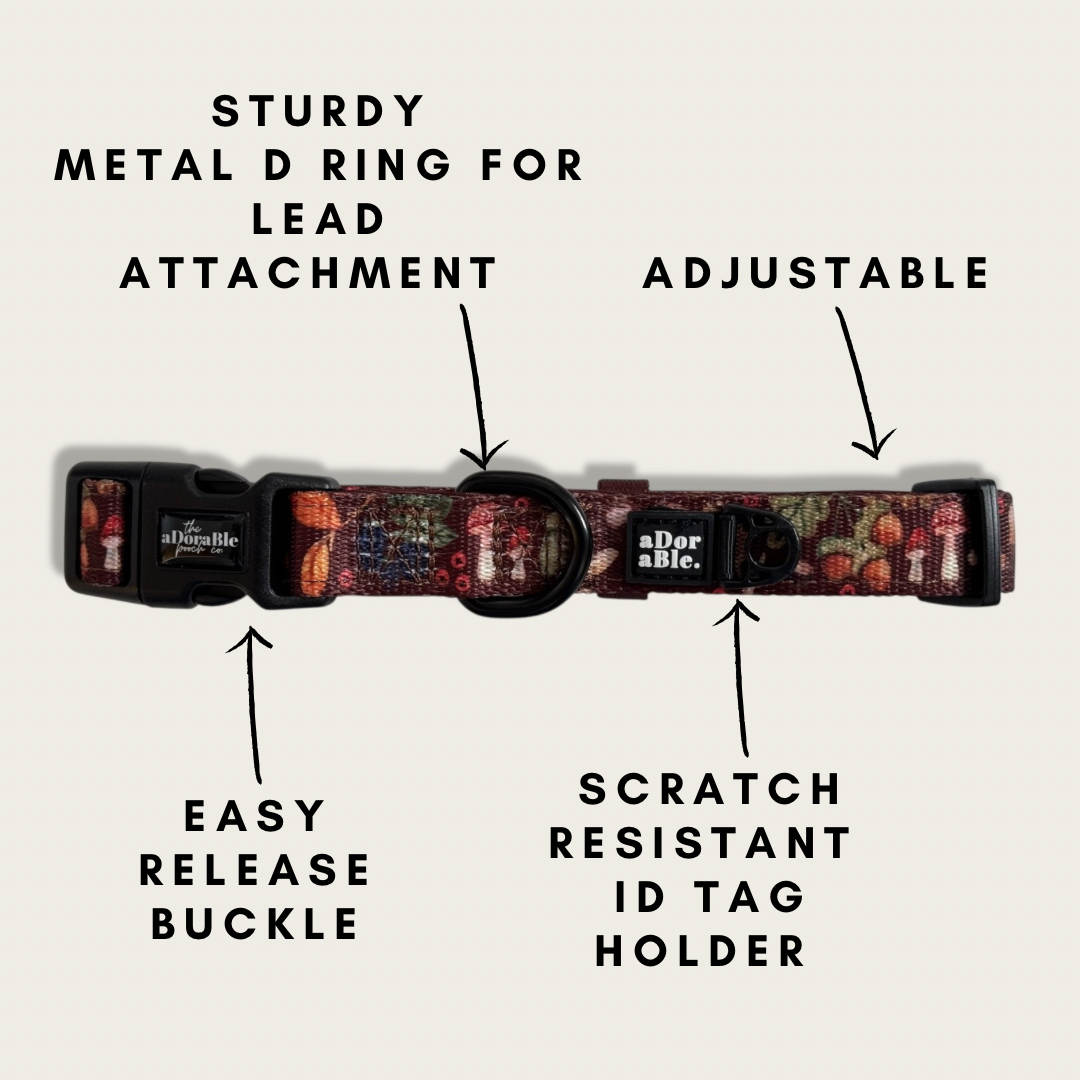 Collar - Foragers Forest