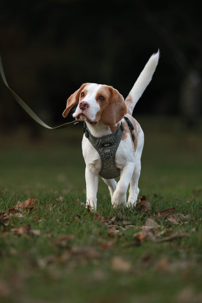 Laura Ashley Waterproof Dog Lead - Sweet Alyssum