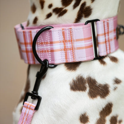 Heritage Martingale Collar - Strawberry Cottage