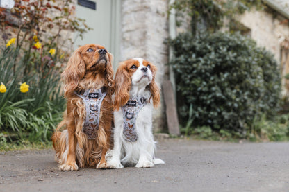 Hike & Go Lite™ Harness - Cotswold Cottage