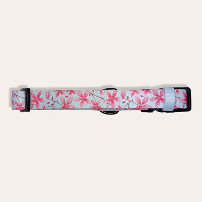 Collar - Cherry Blossom