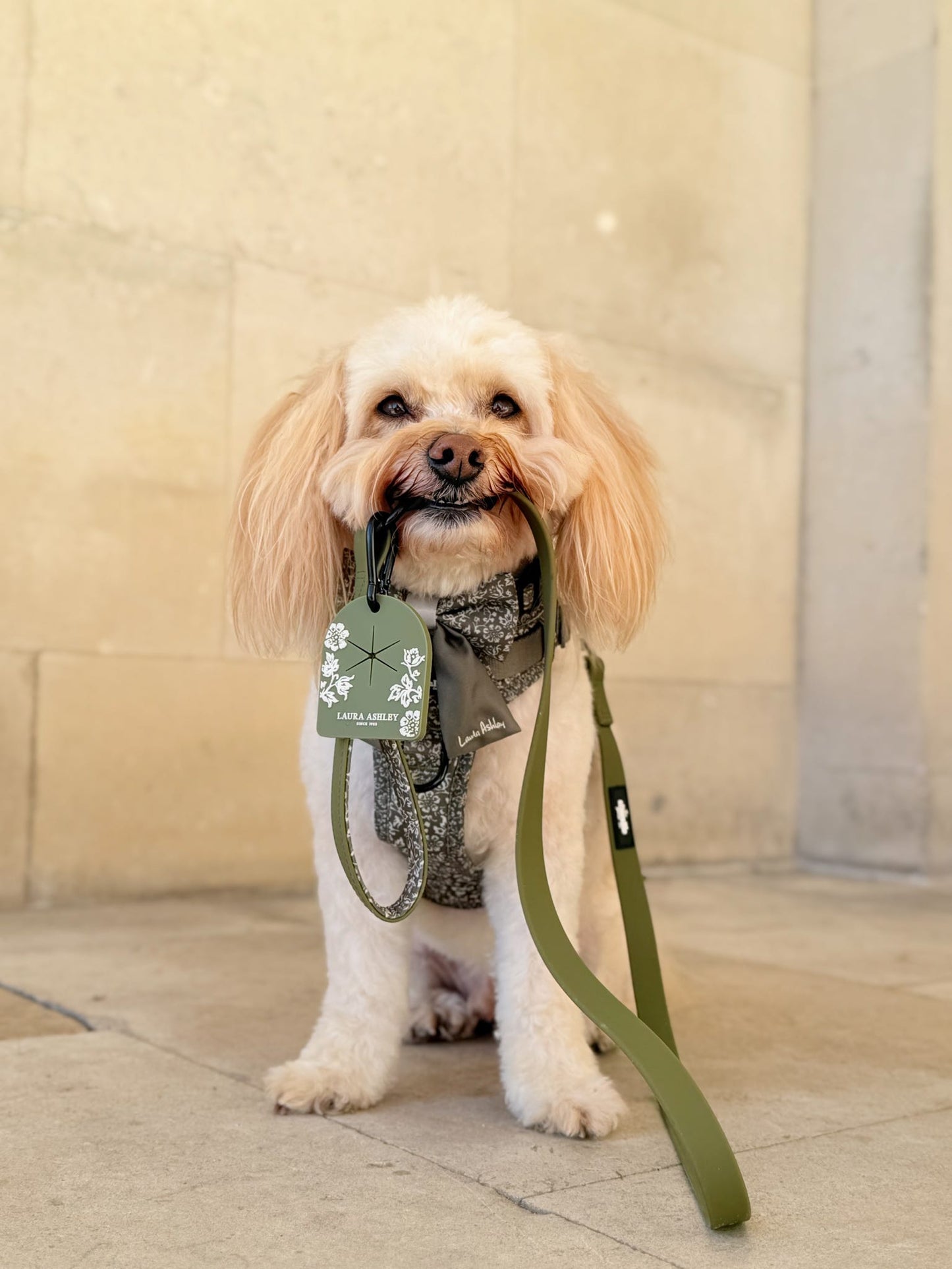 Laura Ashley Waterproof Dog Lead - Sweet Alyssum