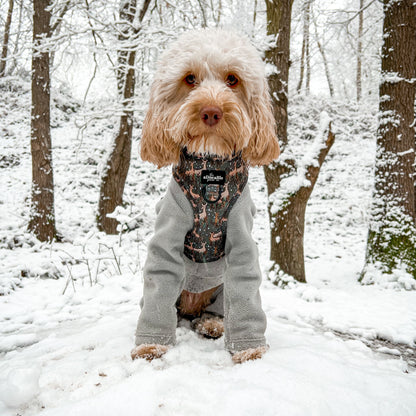 Adjustable Harness - Nature Trails