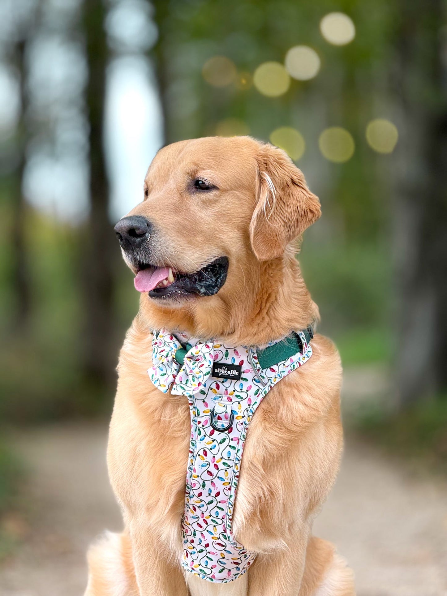 Hike & Go Lite™ Harness - Festive Lights