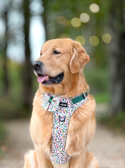 Hike & Go Lite™ Harness - Festive Lights