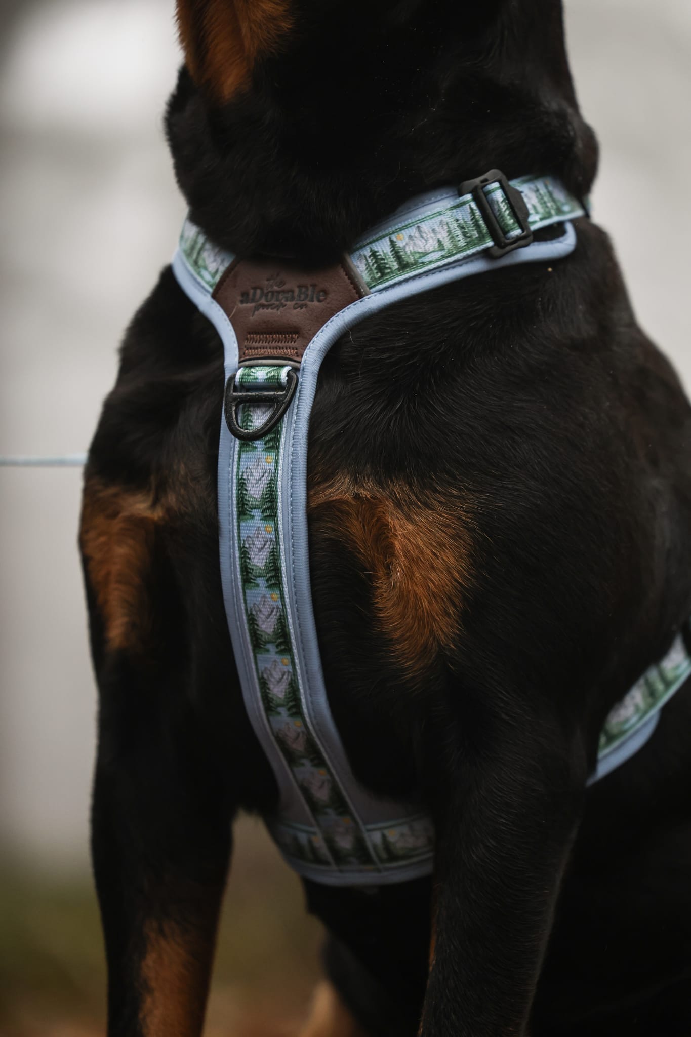 Streamline Pro™ Dog Harness - Daydream Heights