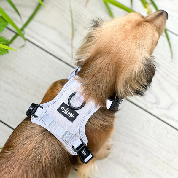 Hike & Go™ Harness - Coconut Cream